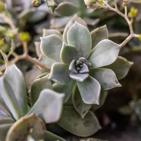 Apartmán Schottenhof Walser 3 - Alleinlage Im Gruenen Mit Panoramablick
