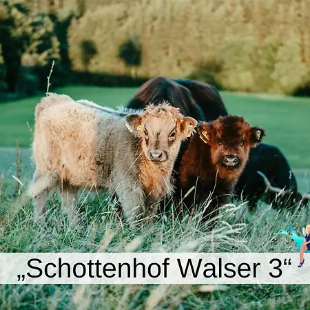 Schottenhof Walser 3 - Alleinlage Im Gruenen Mit Panoramablick